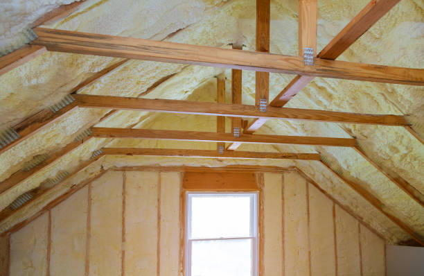 Best Professional Insulation Contractor  in Maumelle, AR