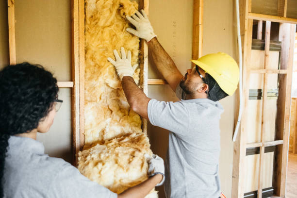 Best Home Insulation Services  in Maumelle, AR