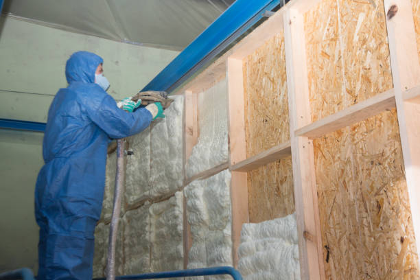 Best Professional Insulation Contractor  in Maumelle, AR